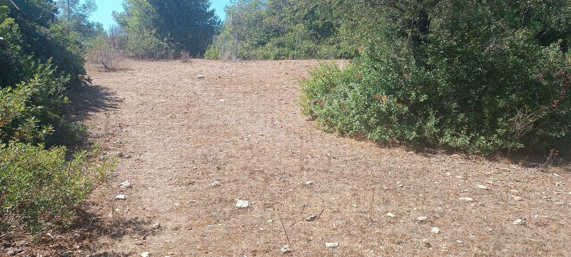 Özcan Emlaktan Satılık Arsa - Görsel 6