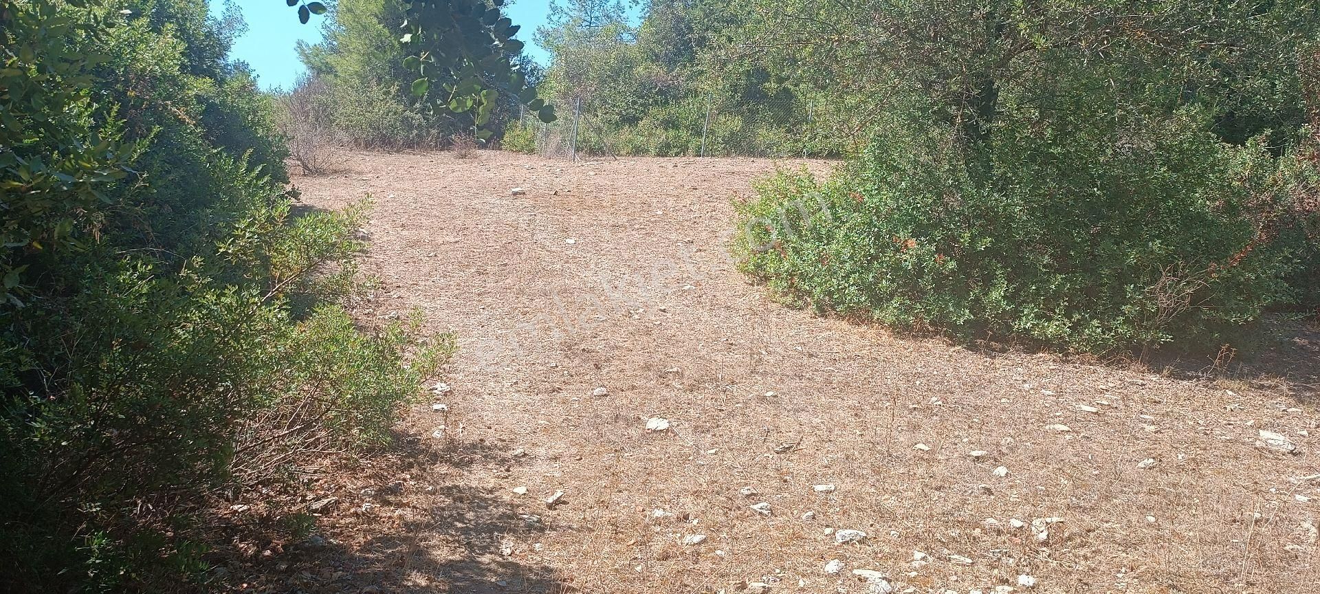 Özcan Emlaktan Satılık Arsa - Görsel 8