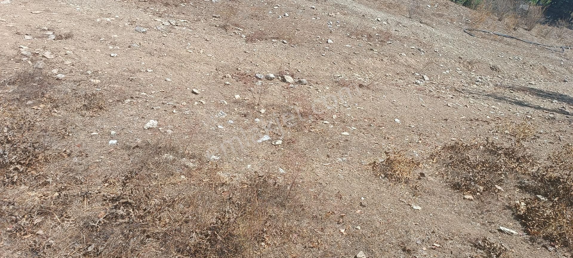 Özcan Emlaktan Satılık Arsa - Görsel 11