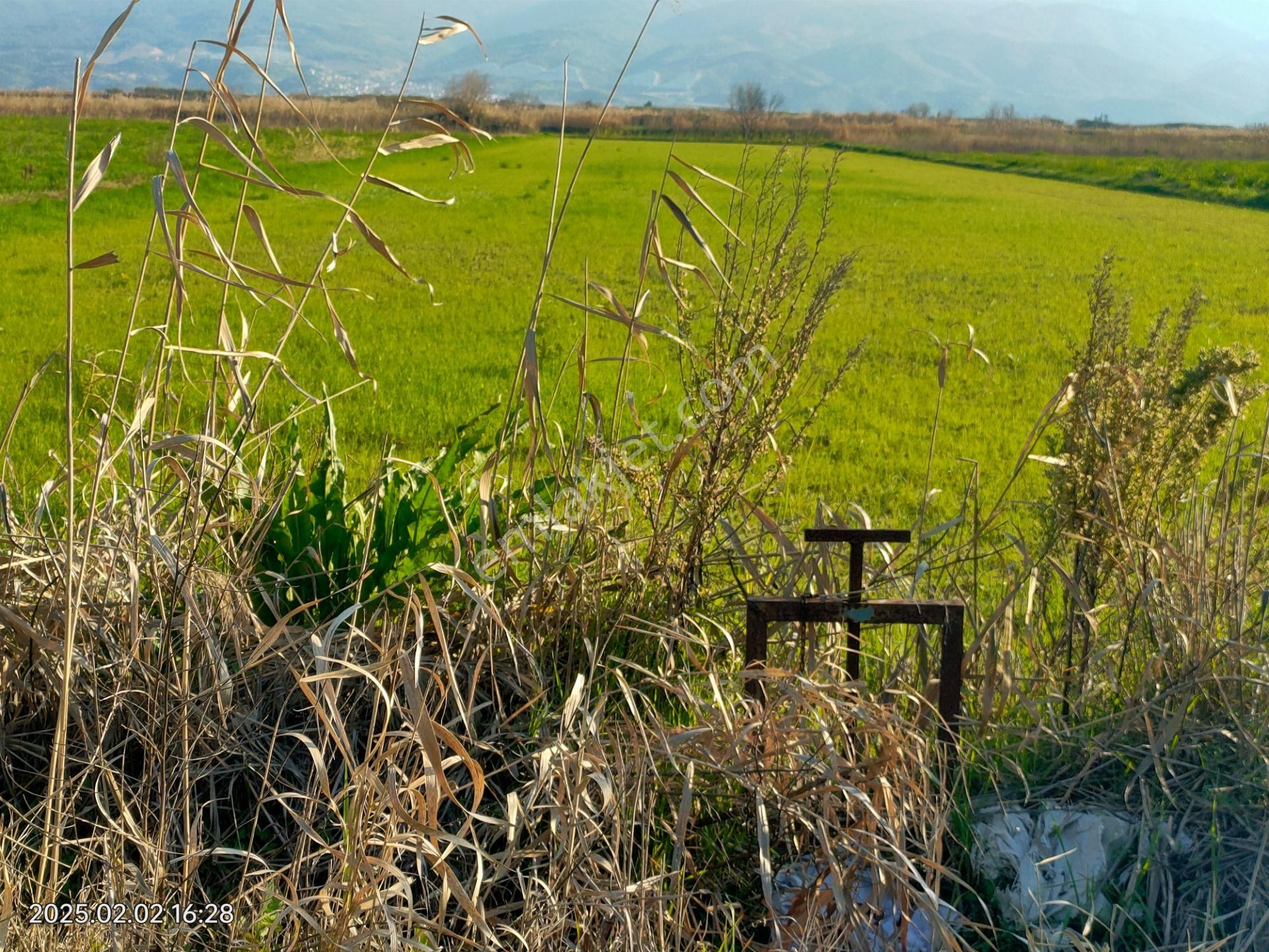 Sultanhisar Atça Mahallesinde Satılık Sulak Verimli Tarla