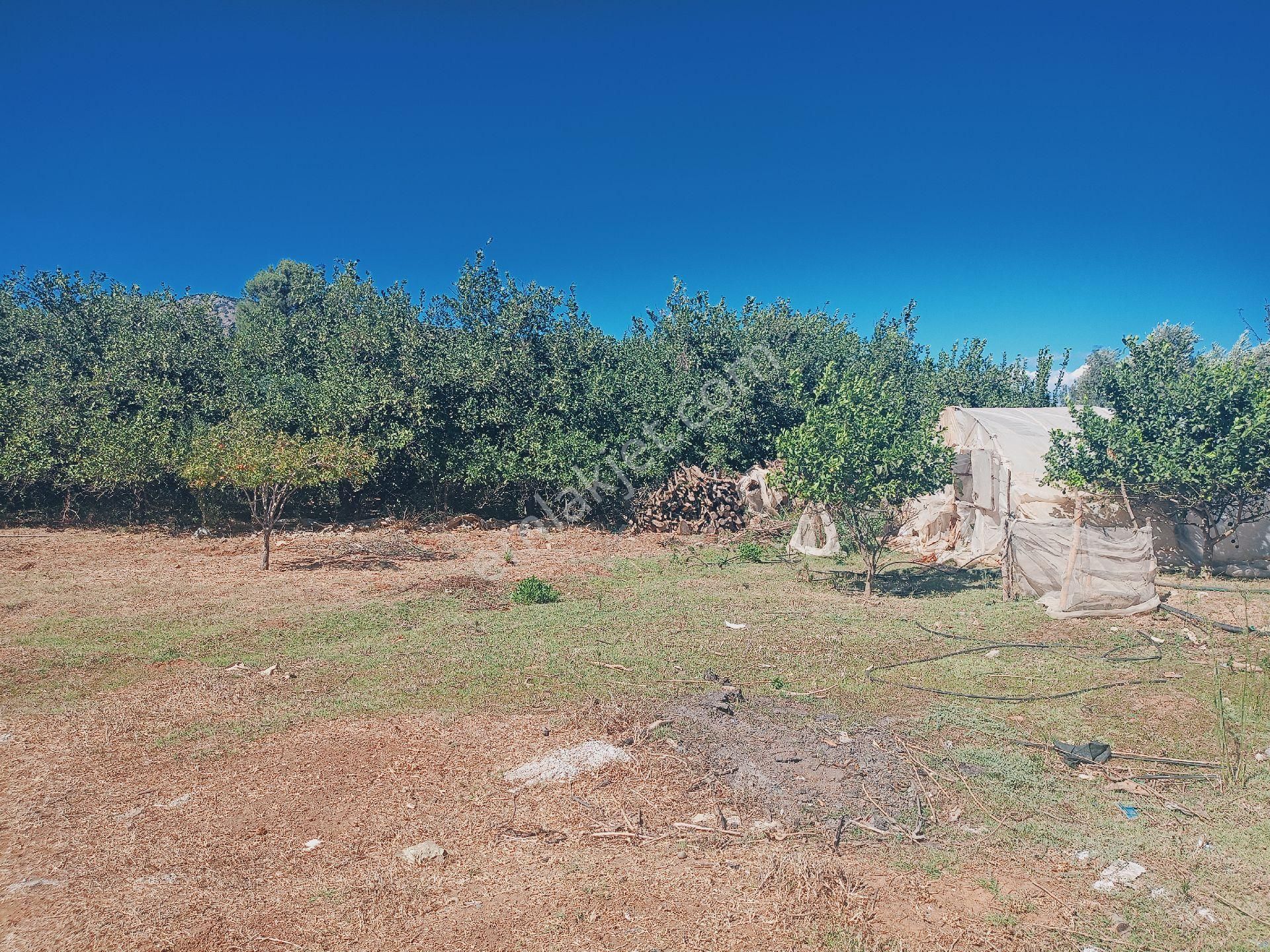 Muğla Ortaca Mergenli Mahallesi'nde Yatırımlık Konut İmarlı Arsa - Görsel 7