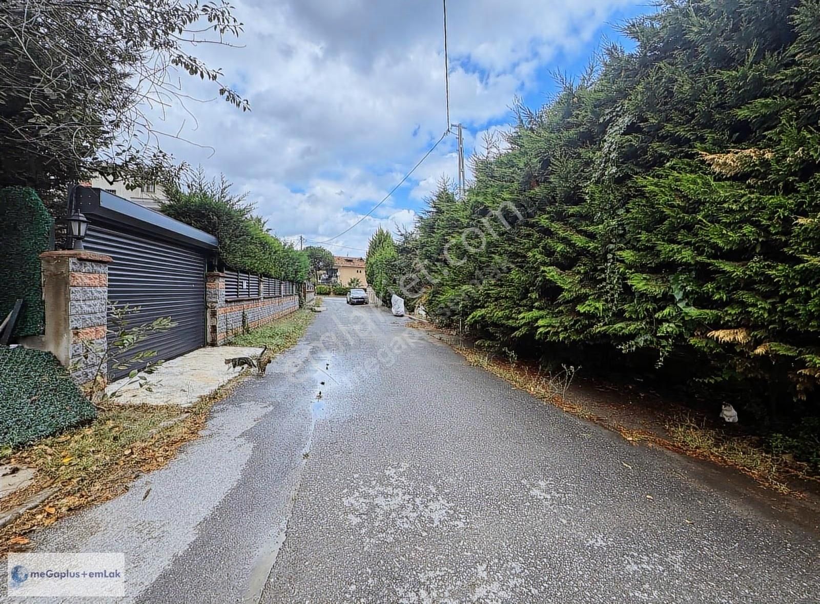 Şile Megaplus Emlak'tan Kumbaba Mah. Köşe Konumda 247m2 Arsa - Görsel 3