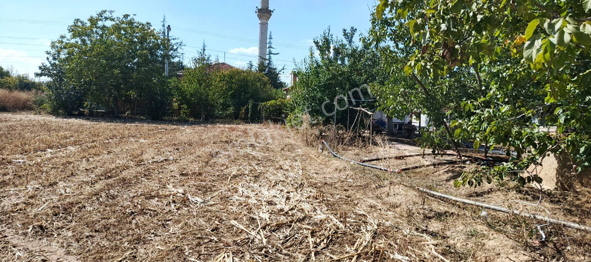 7500 M2 Satılık Konut İmarlı Arsa, Şehir Merkezi Cadde Üzeri - Görsel 14
