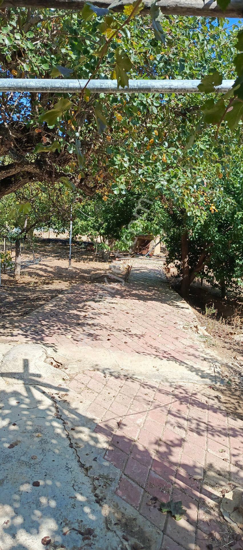 7500 M2 Satılık Konut İmarlı Arsa, Şehir Merkezi Cadde Üzeri - Görsel 26
