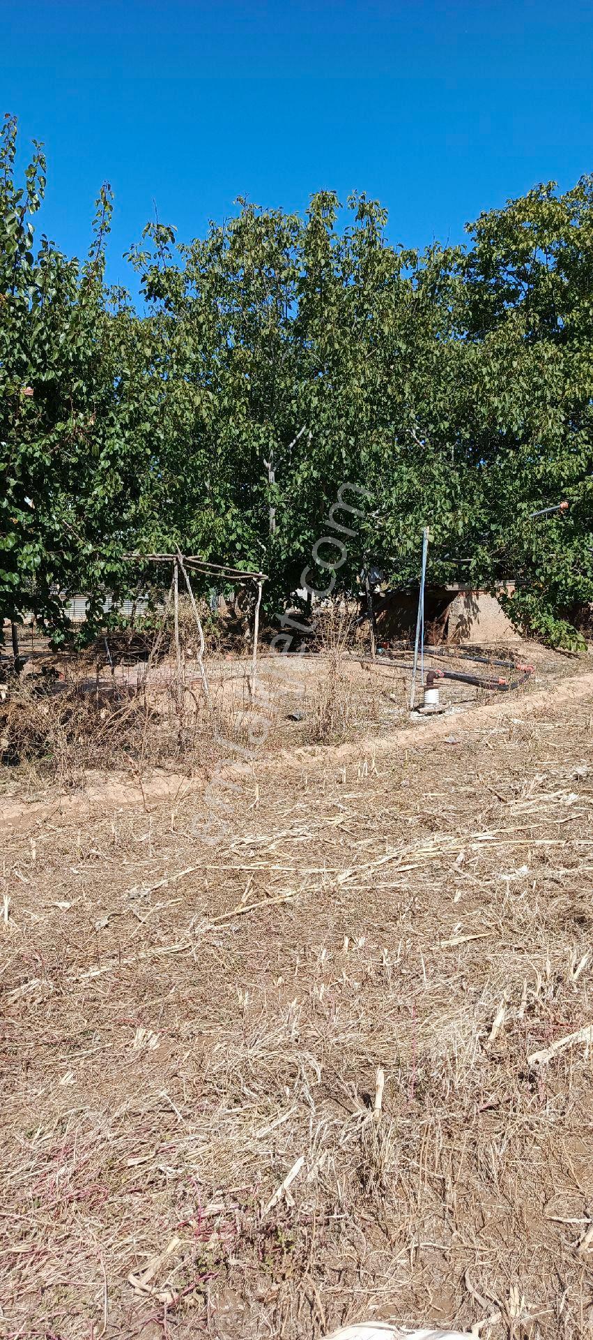 7500 M2 Satılık Konut İmarlı Arsa, Şehir Merkezi Cadde Üzeri - Görsel 23