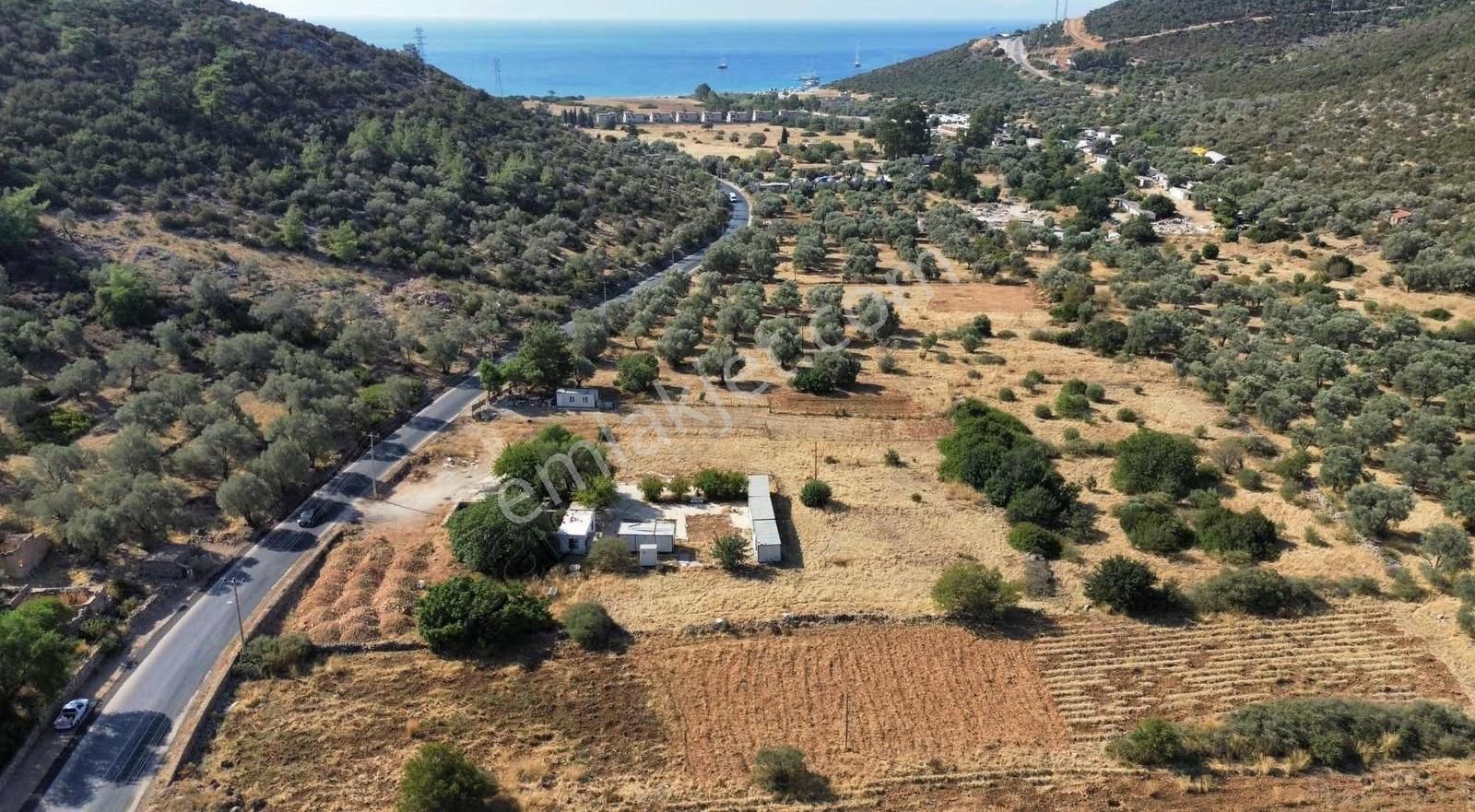 Bodrum Kızılağaç Gerenkuyu'da Anayola Cepheli 966 M² Tarla