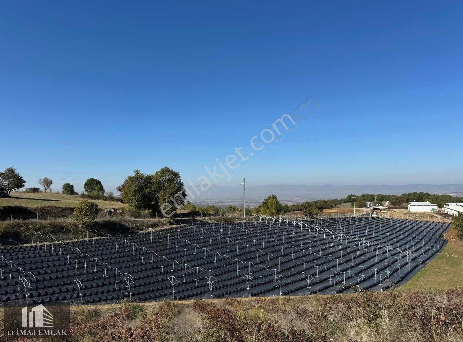 Bursa İnegöl Tekkeköy De 37.984 M2 Çiftlik 400 M Asfalta Cepheli - Görsel 7