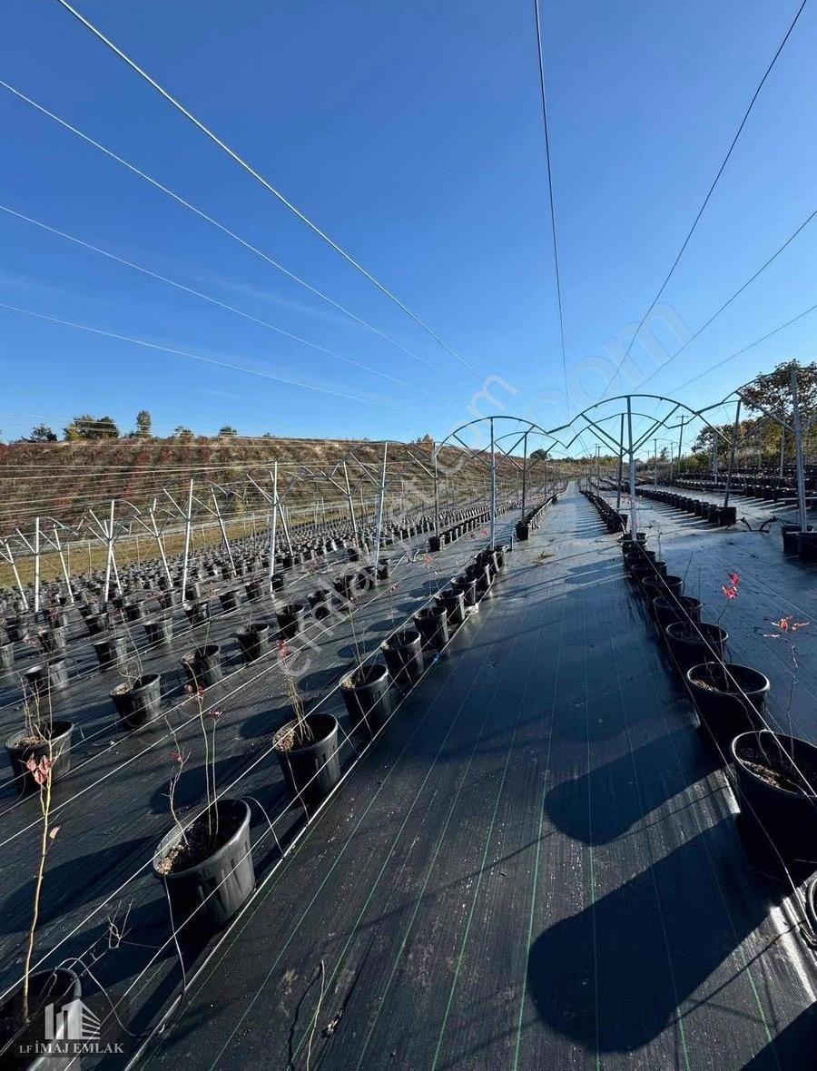 Bursa İnegöl Tekkeköy De 37.984 M2 Çiftlik 400 M Asfalta Cepheli - Görsel 14