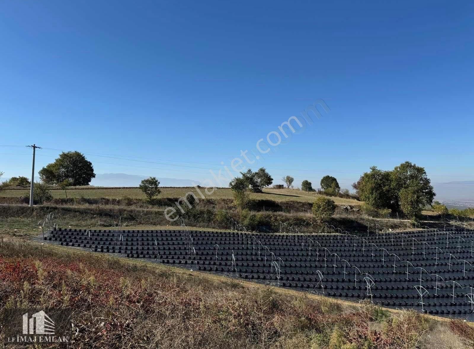 Bursa İnegöl Tekkeköy De 37.984 M2 Çiftlik 400 M Asfalta Cepheli - Görsel 9