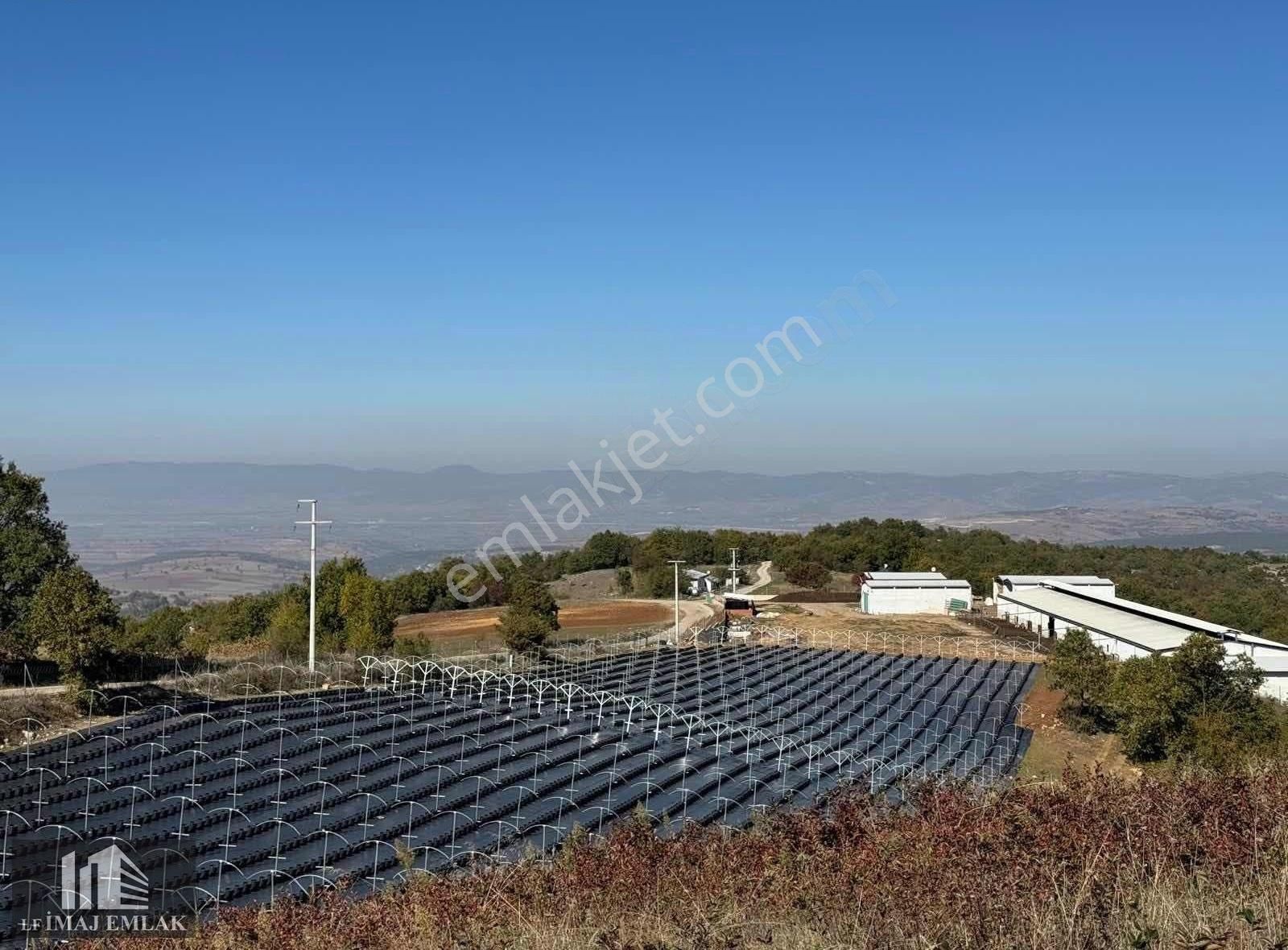 Bursa İnegöl Tekkeköy De 37.984 M2 Çiftlik 400 M Asfalta Cepheli - Görsel 8