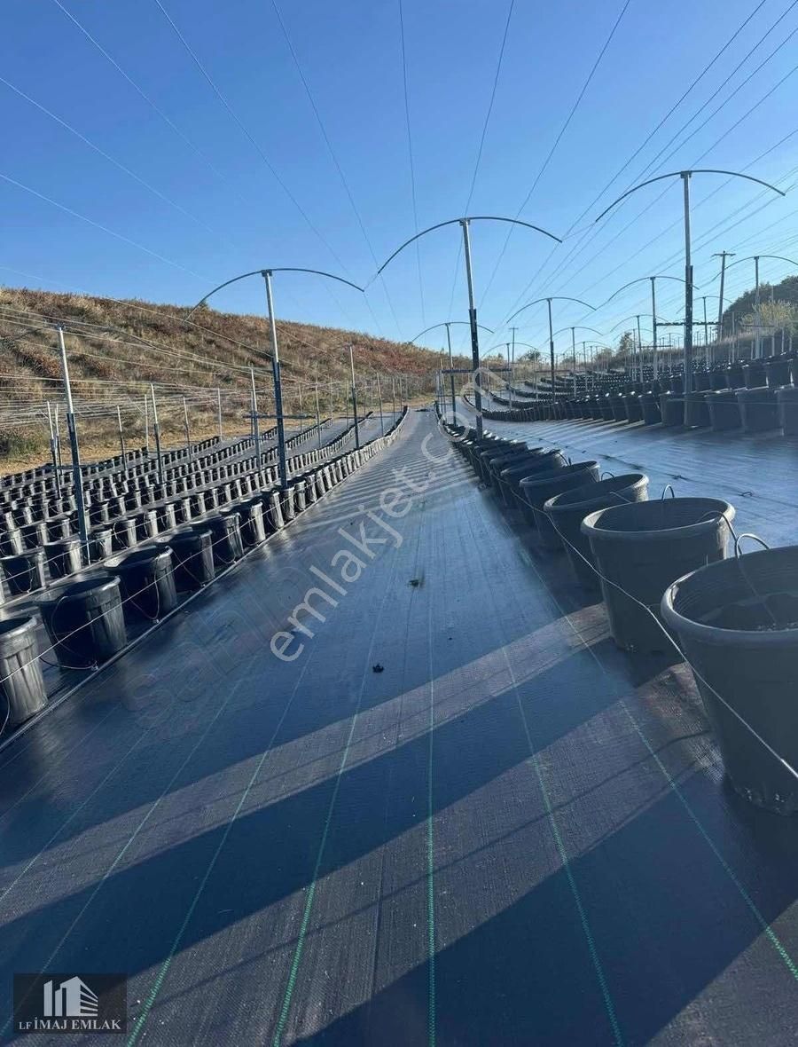 Bursa İnegöl Tekkeköy De 37.984 M2 Çiftlik 400 M Asfalta Cepheli - Görsel 4