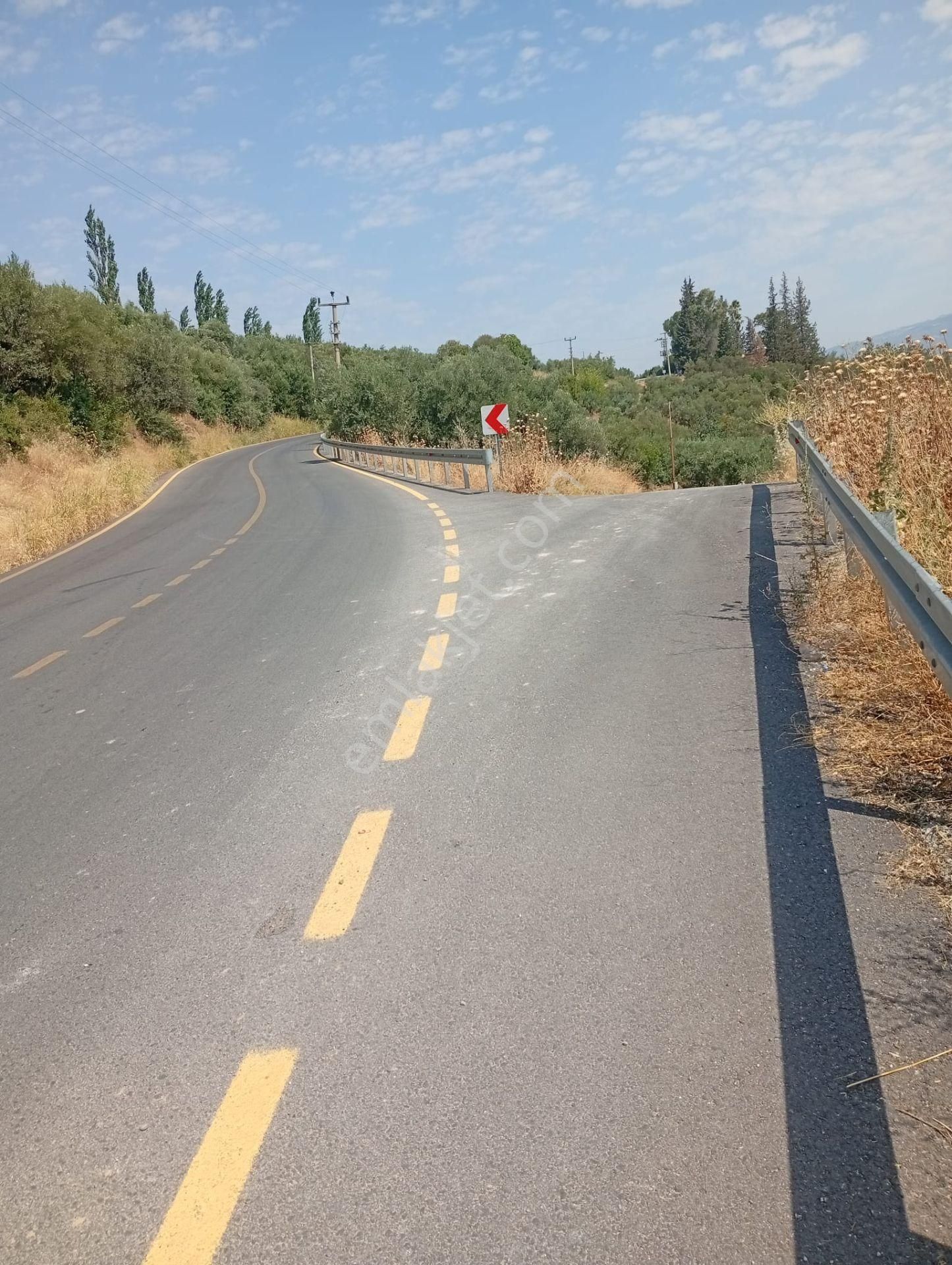 Karacasu Yenice Asfalt Yol Kenarı Zeytinlik 7.238 M2 - Görsel 4
