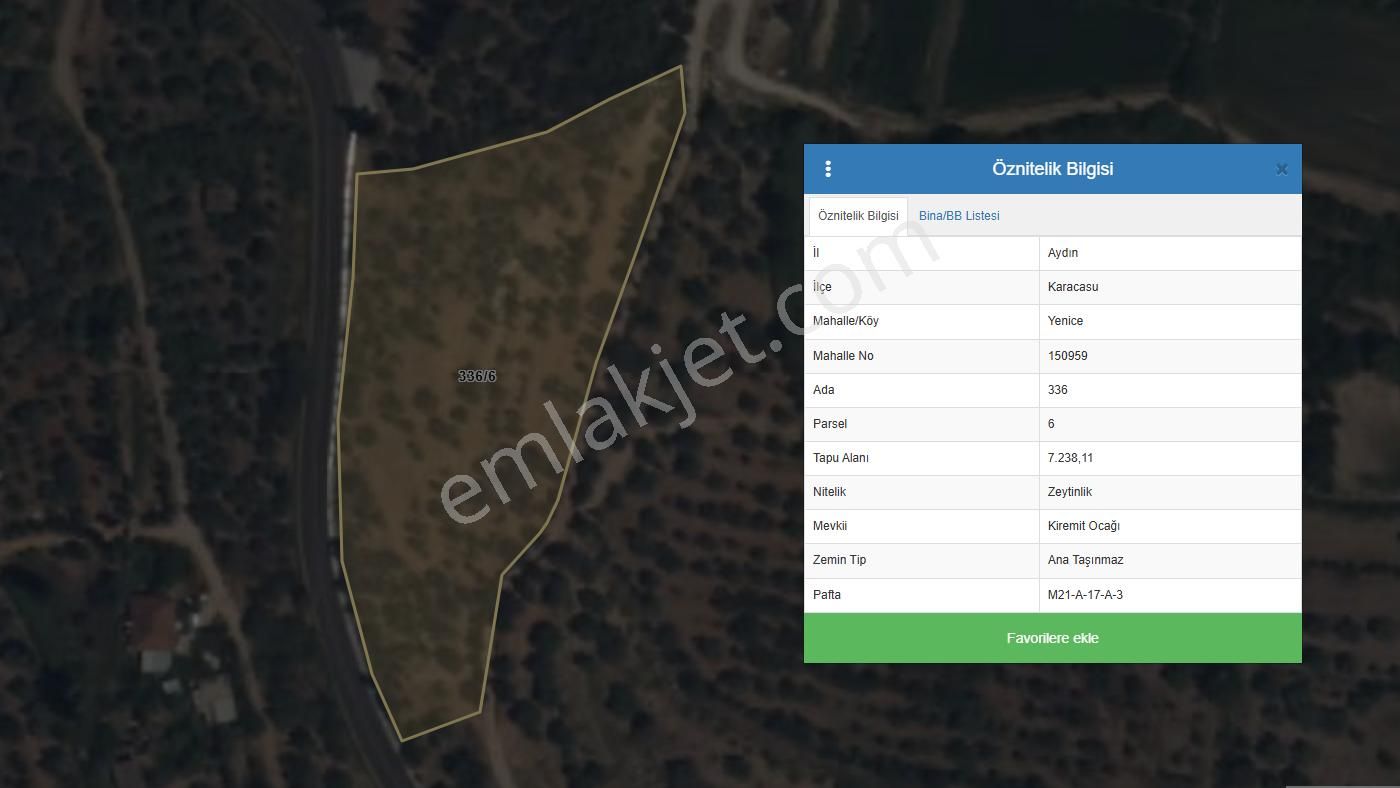 Karacasu Yenice Asfalt Yol Kenarı Zeytinlik 7.238 M2 - Görsel 9