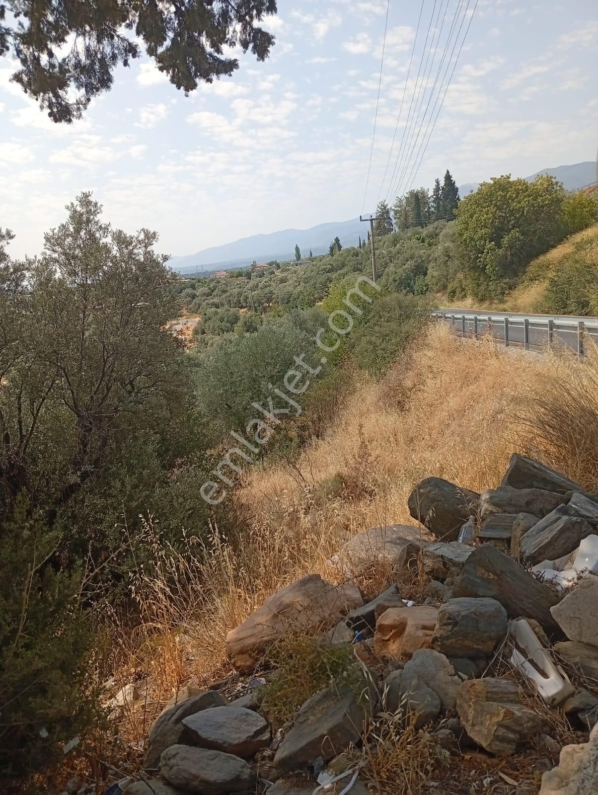 Karacasu Yenice Asfalt Yol Kenarı Zeytinlik 7.238 M2 - Görsel 14