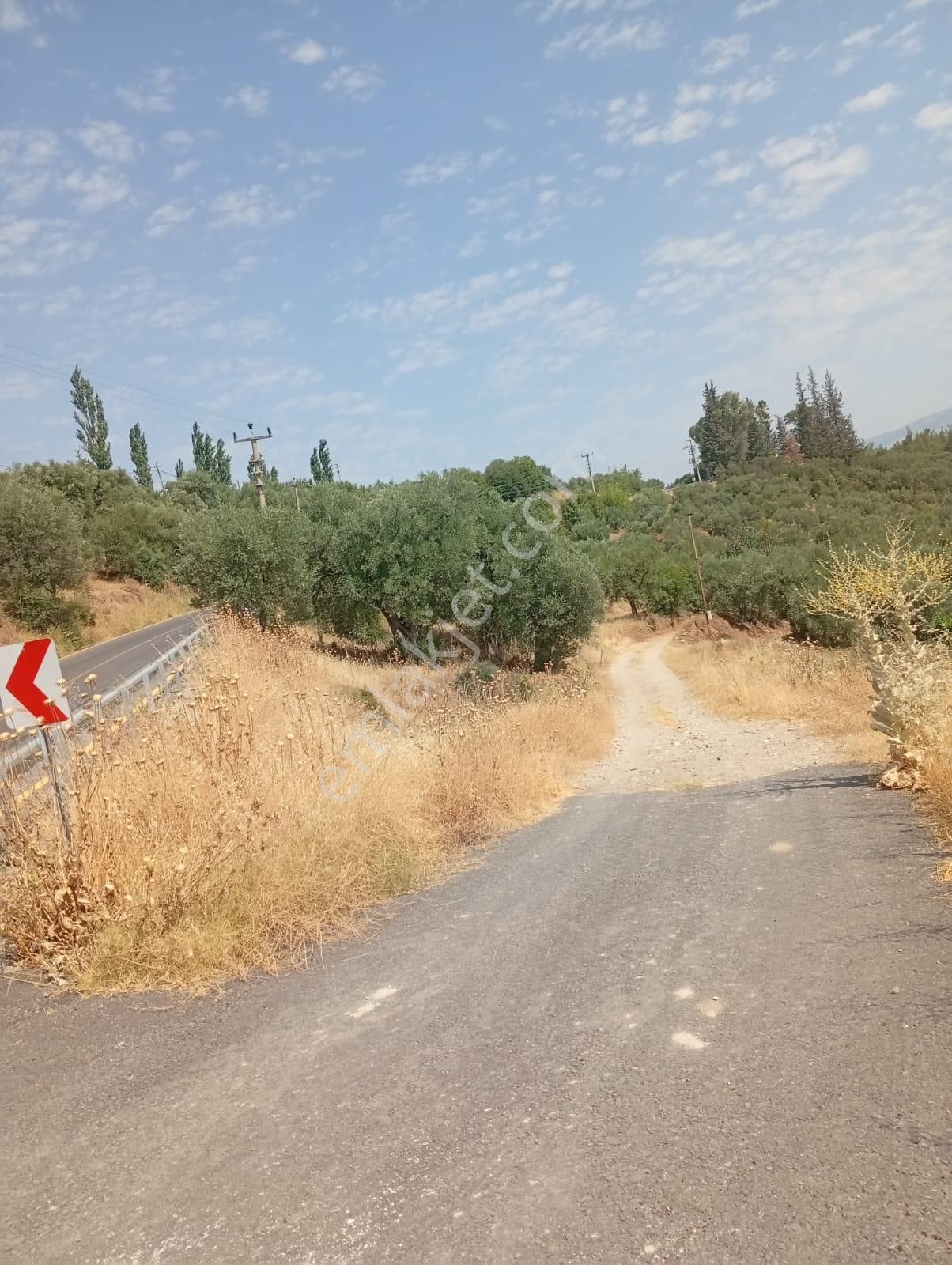 Karacasu Yenice Asfalt Yol Kenarı Zeytinlik 7.238 M2 - Görsel 17
