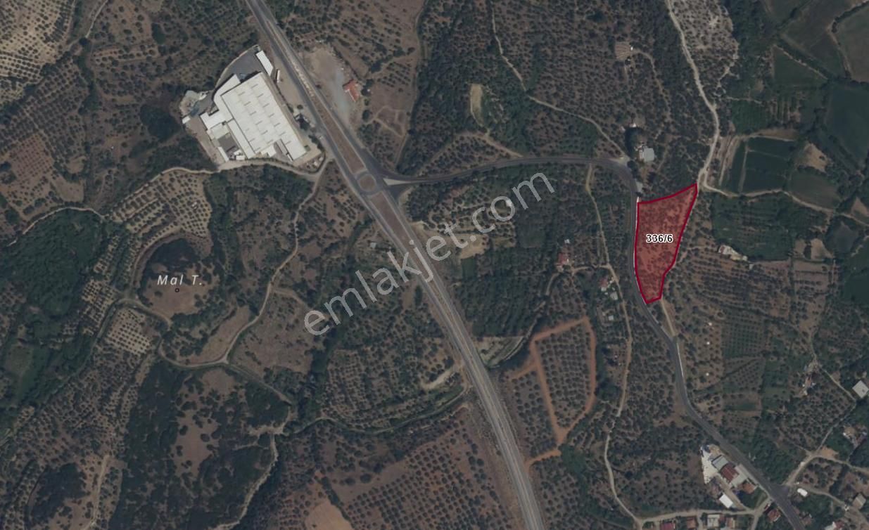 Karacasu Yenice Asfalt Yol Kenarı Zeytinlik 7.238 M2 - Görsel 19
