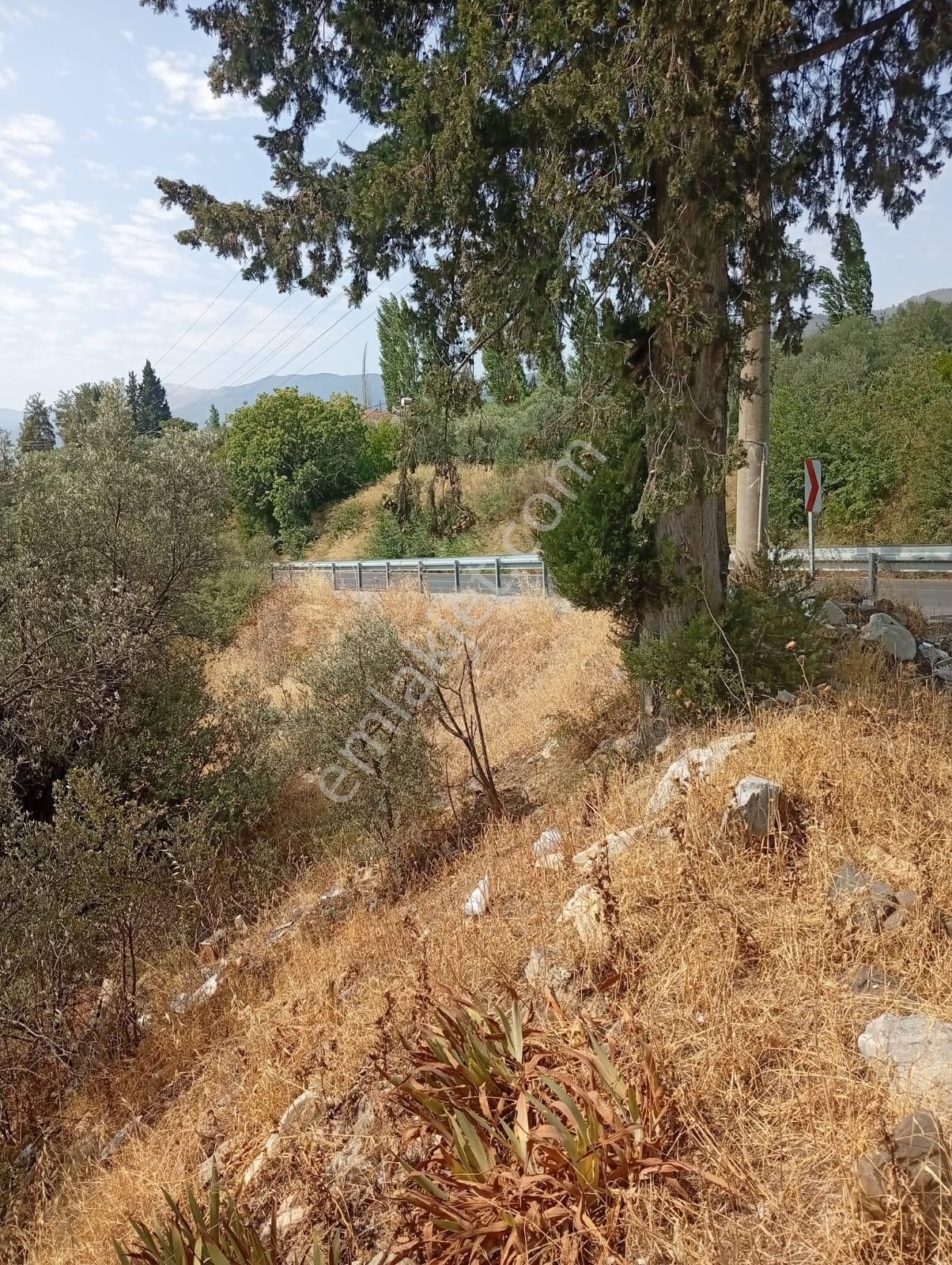 Karacasu Yenice Asfalt Yol Kenarı Zeytinlik 7.238 M2 - Görsel 11