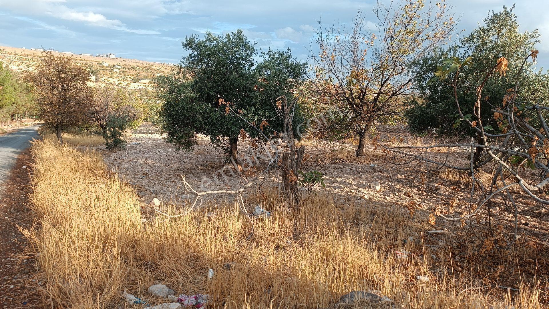 Satılık Arazi - Görsel 9