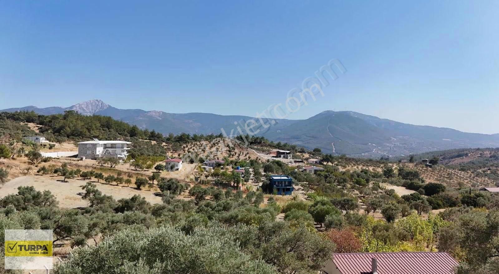 Dağkızılca'da 5883 M2 Zeytinlik Bağ Bahçe - Görsel 10