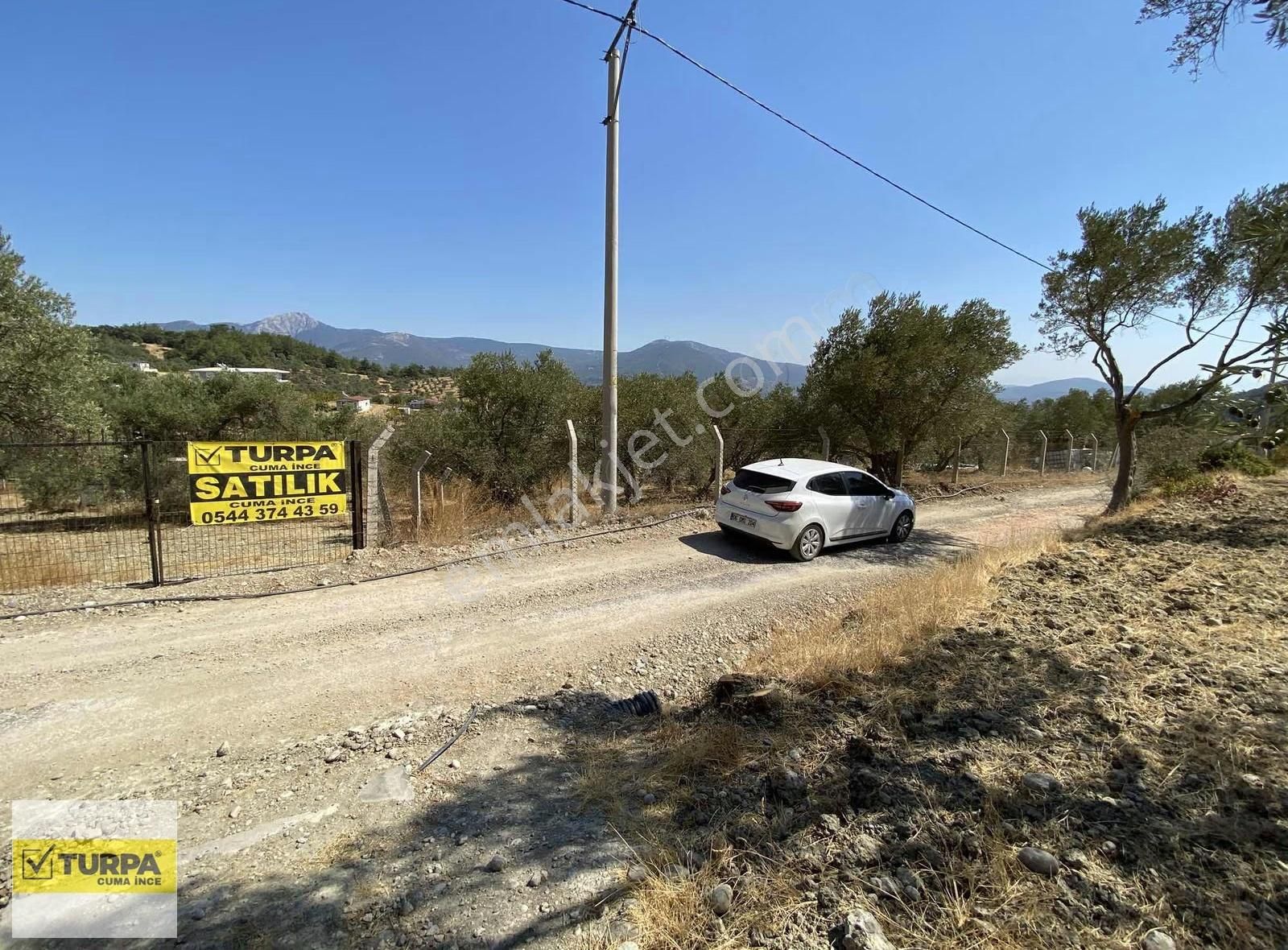 Dağkızılca'da 5883 M2 Zeytinlik Bağ Bahçe - Görsel 7