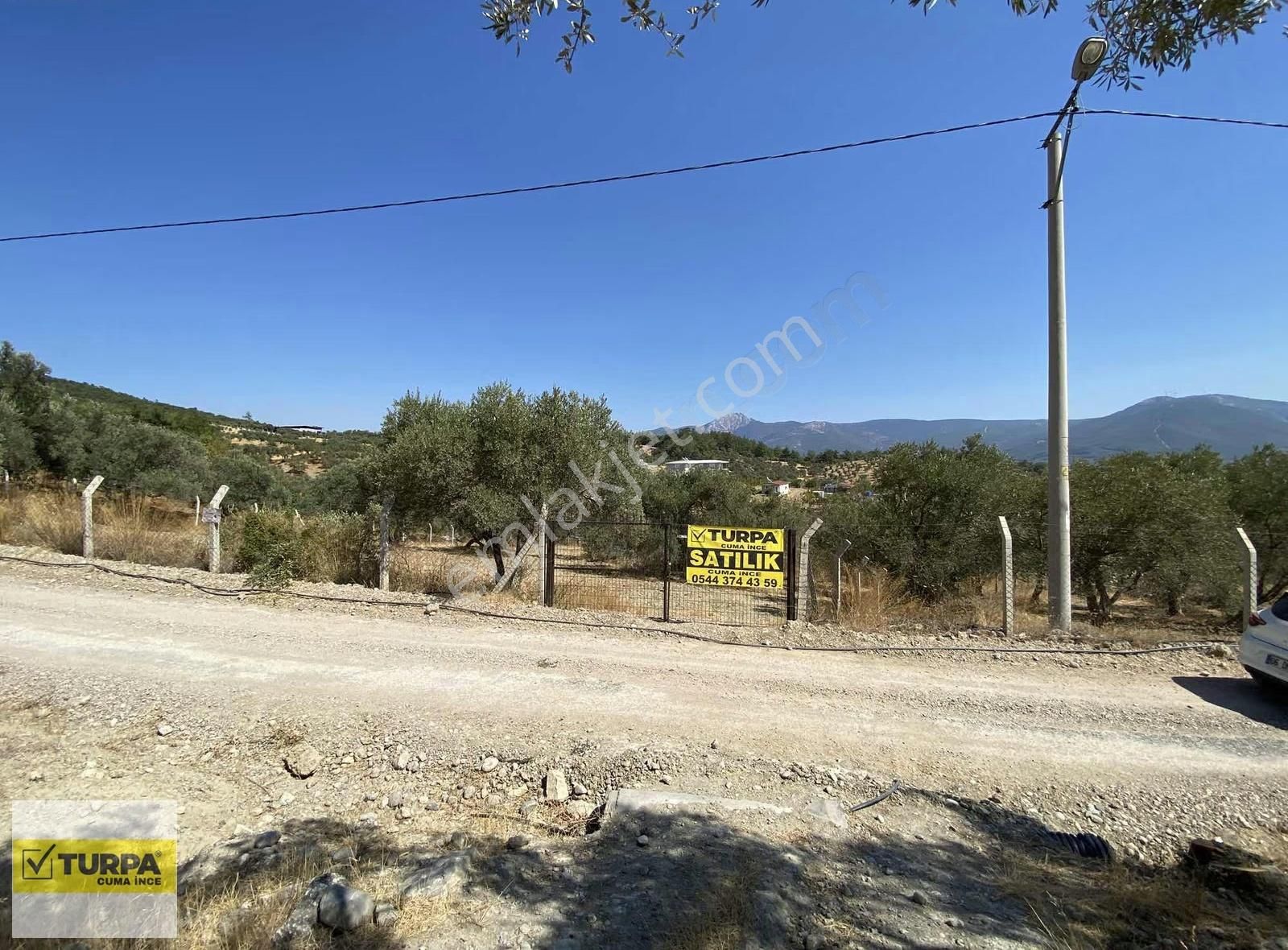 Dağkızılca'da 5883 M2 Zeytinlik Bağ Bahçe - Görsel 4