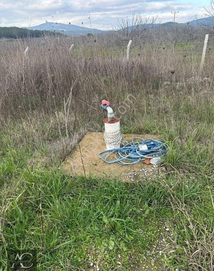 Aclass'dan Gokçealan Koyunde Etrafı Cıtlerle Cevrılmıs Yola Yakın 4500 M2 Satılık Fırsat Bahçe - Görsel 2