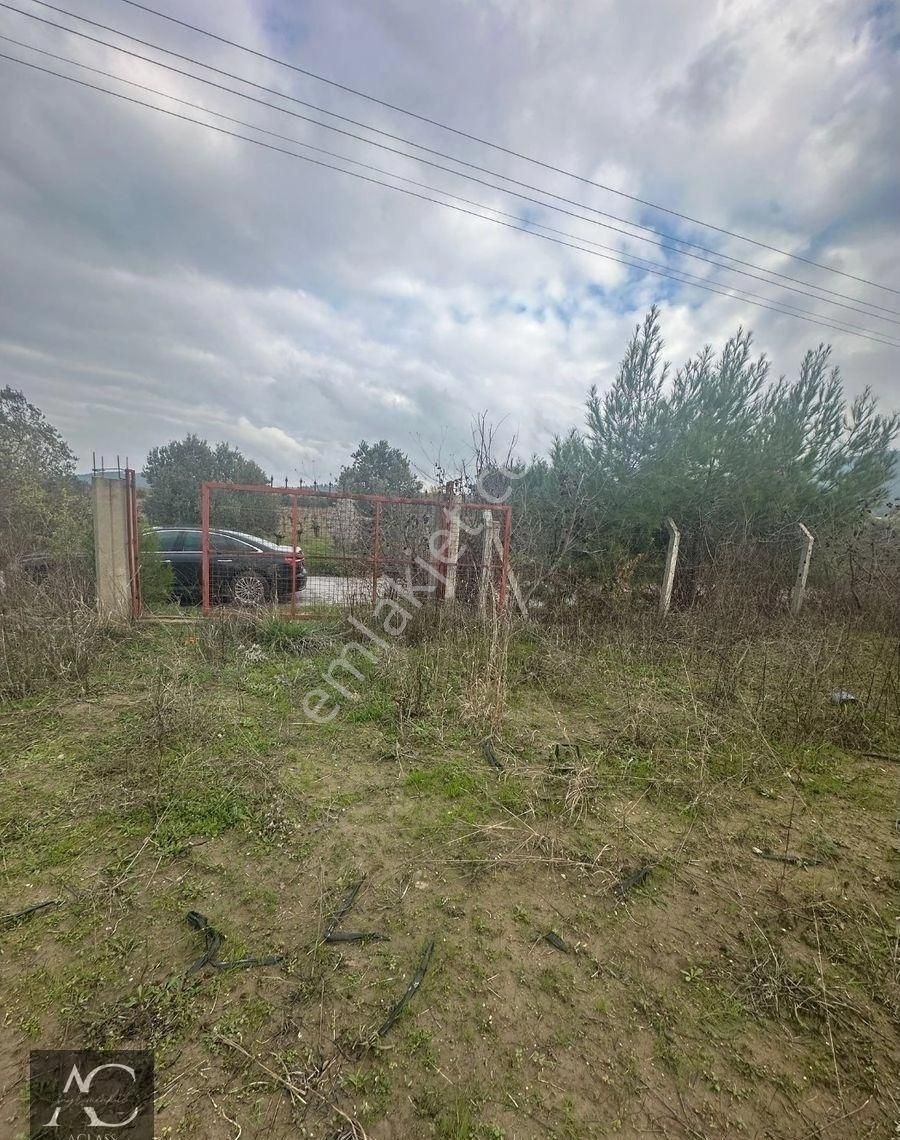 Aclass'dan Gokçealan Koyunde Etrafı Cıtlerle Cevrılmıs Yola Yakın 4500 M2 Satılık Fırsat Bahçe - Görsel 3