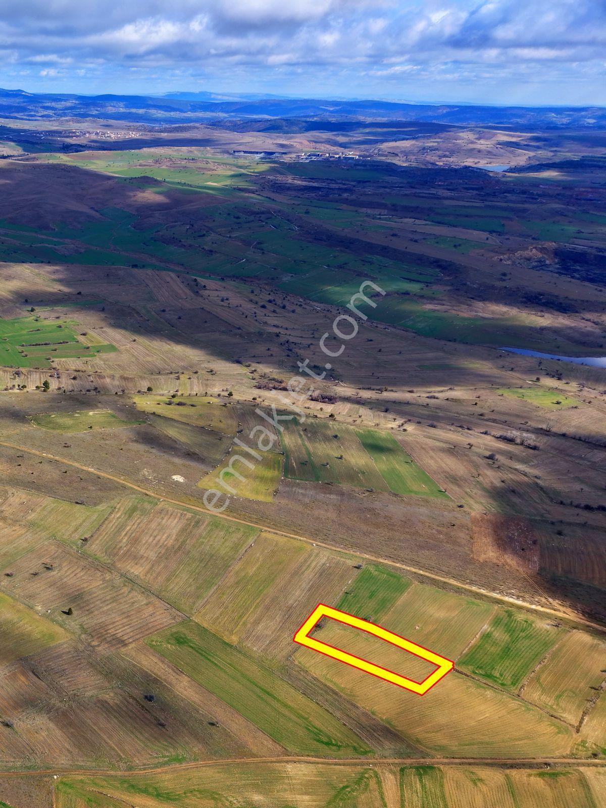 Kütahya Merkez 'de 2.334 M2 Resmi Yola Yakın Dümdüz Fırsat Arazi - Görsel 7
