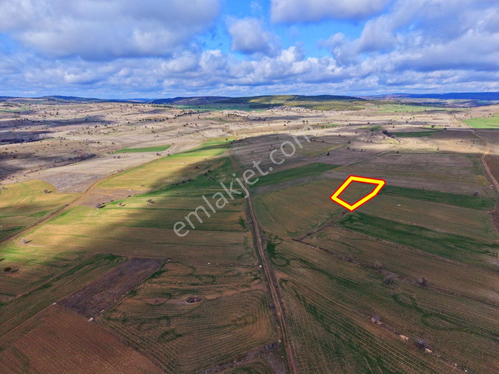 Kütahya Merkez 'de 2.334 M2 Resmi Yola Yakın Dümdüz Fırsat Arazi - Görsel 6