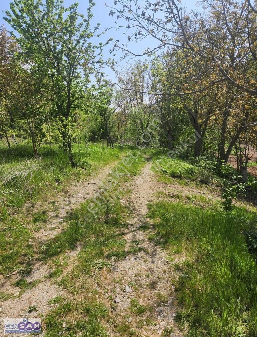 Balıkesir Bigadiç 'de 113 M2 Köy Dibinde İmar Sınırı Bahçe - Görsel 6