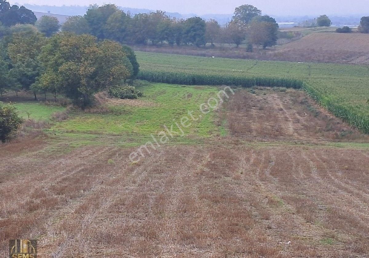 Şems Gayrimenkul'den Subaşı Köy Asfaltına Cepheli Soğuk Hava Deposu İmarlı Fırsat Arazi - Görsel 9