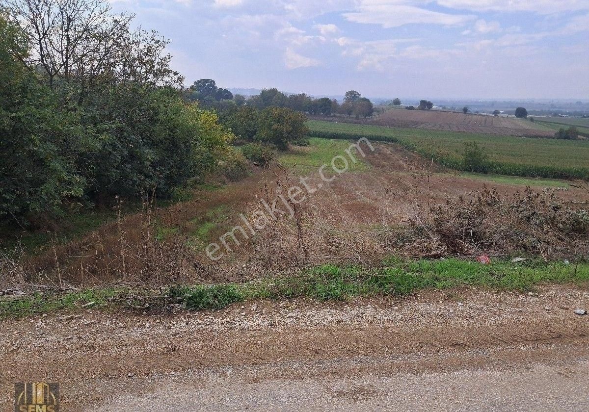 Şems Gayrimenkul'den Subaşı Köy Asfaltına Cepheli Soğuk Hava Deposu İmarlı Fırsat Arazi - Görsel 10