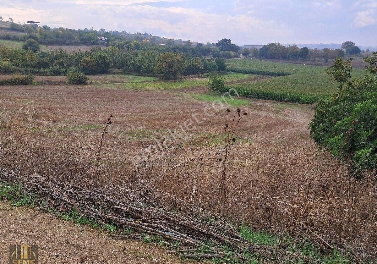 Şems Gayrimenkul'den Subaşı Köy Asfaltına Cepheli Soğuk Hava Deposu İmarlı Fırsat Arazi - Görsel 15