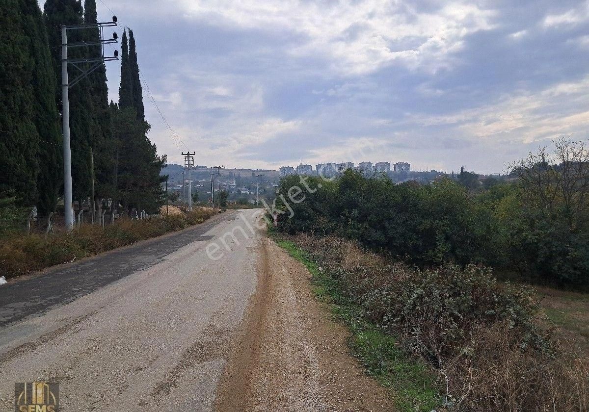 Şems Gayrimenkul'den Subaşı Köy Asfaltına Cepheli Soğuk Hava Deposu İmarlı Fırsat Arazi - Görsel 12