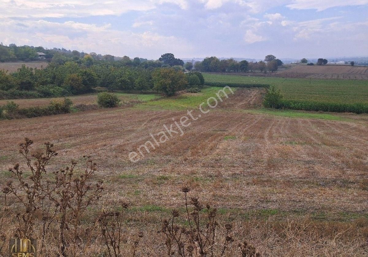 Şems Gayrimenkul'den Subaşı Köy Asfaltına Cepheli Soğuk Hava Deposu İmarlı Fırsat Arazi - Görsel 11