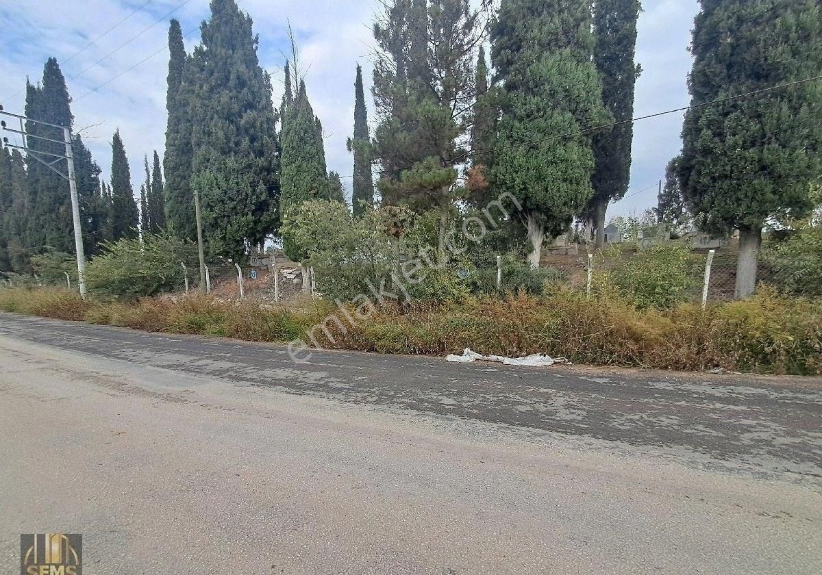 Şems Gayrimenkul'den Subaşı Köy Asfaltına Cepheli Soğuk Hava Deposu İmarlı Fırsat Arazi - Görsel 5