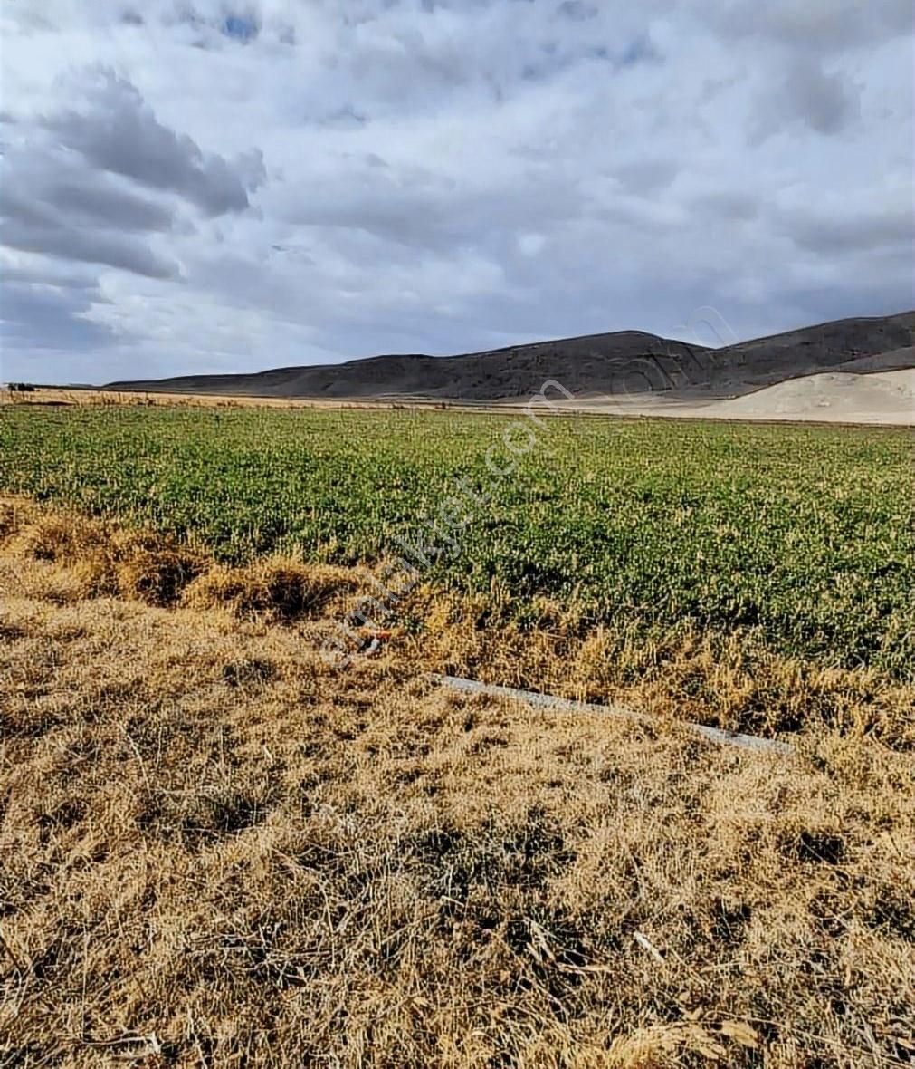 Bolvadin'de Satılık 16.500 Metrekare Satılık Tarla Müstakil Tapu - Görsel 3