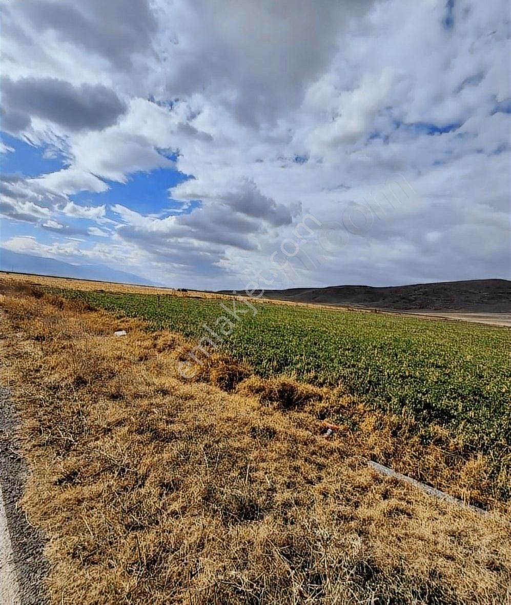 Bolvadin'de Satılık 16.500 Metrekare Satılık Tarla Müstakil Tapu - Görsel 10