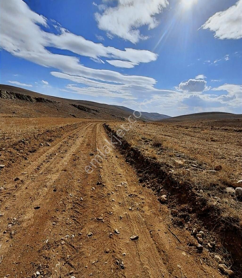 Bolvadin'de Satılık 16.500 Metrekare Satılık Tarla Müstakil Tapu - Görsel 8