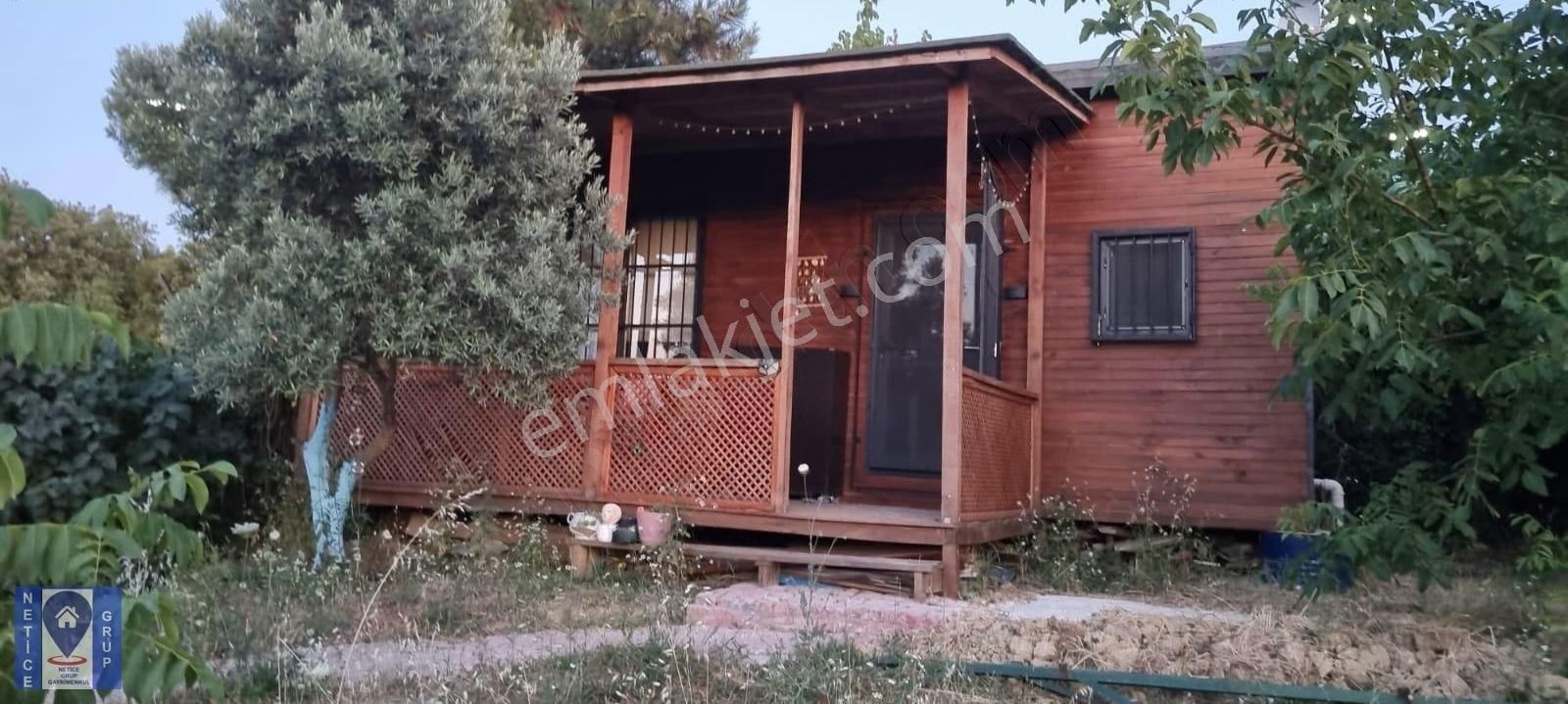 Kayapa Satılık Müstakil Ahşap Ev+tiny House' Lı 1.400 M2 Arazi - Görsel 12