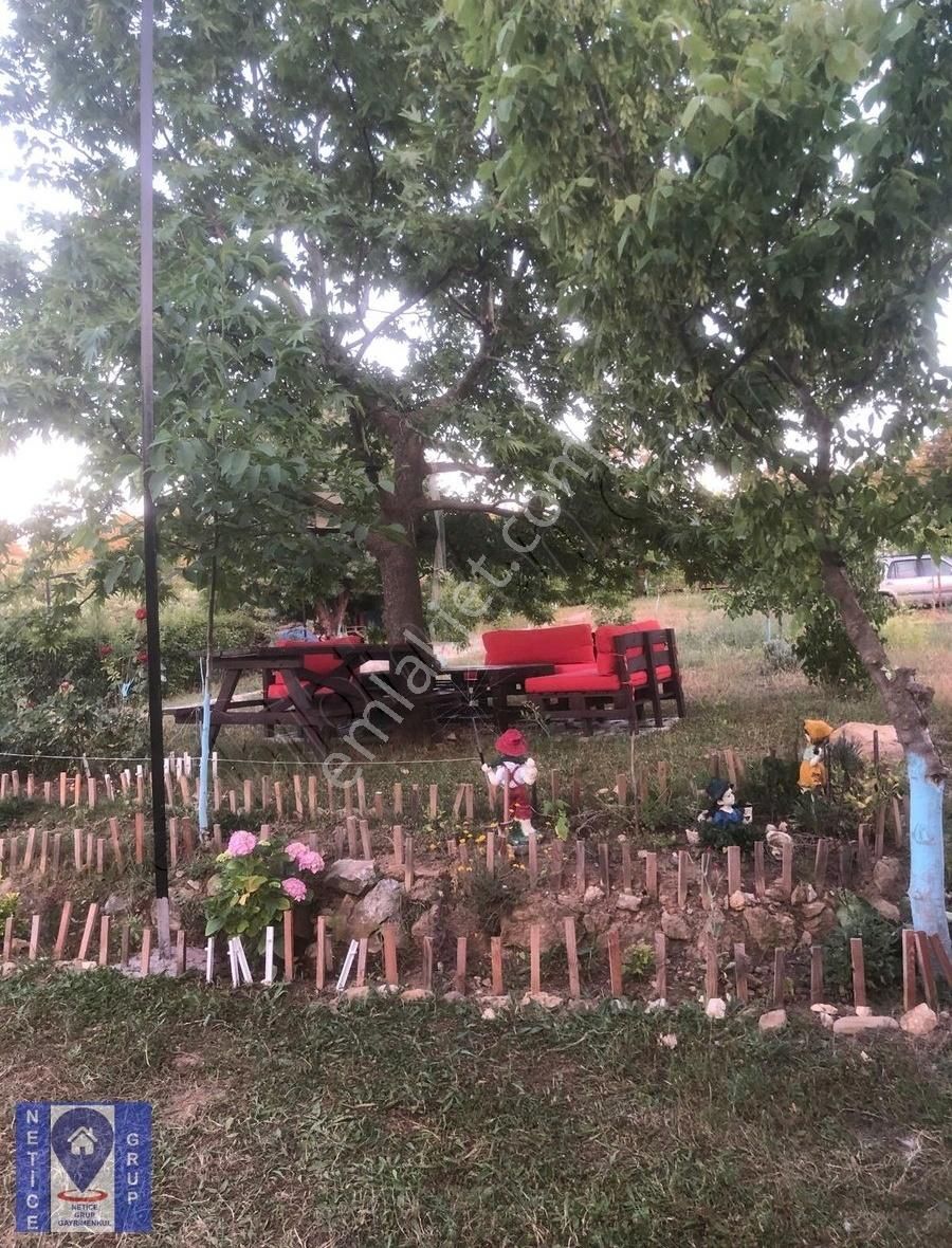 Kayapa Satılık Müstakil Ahşap Ev+tiny House' Lı 1.400 M2 Arazi - Görsel 7