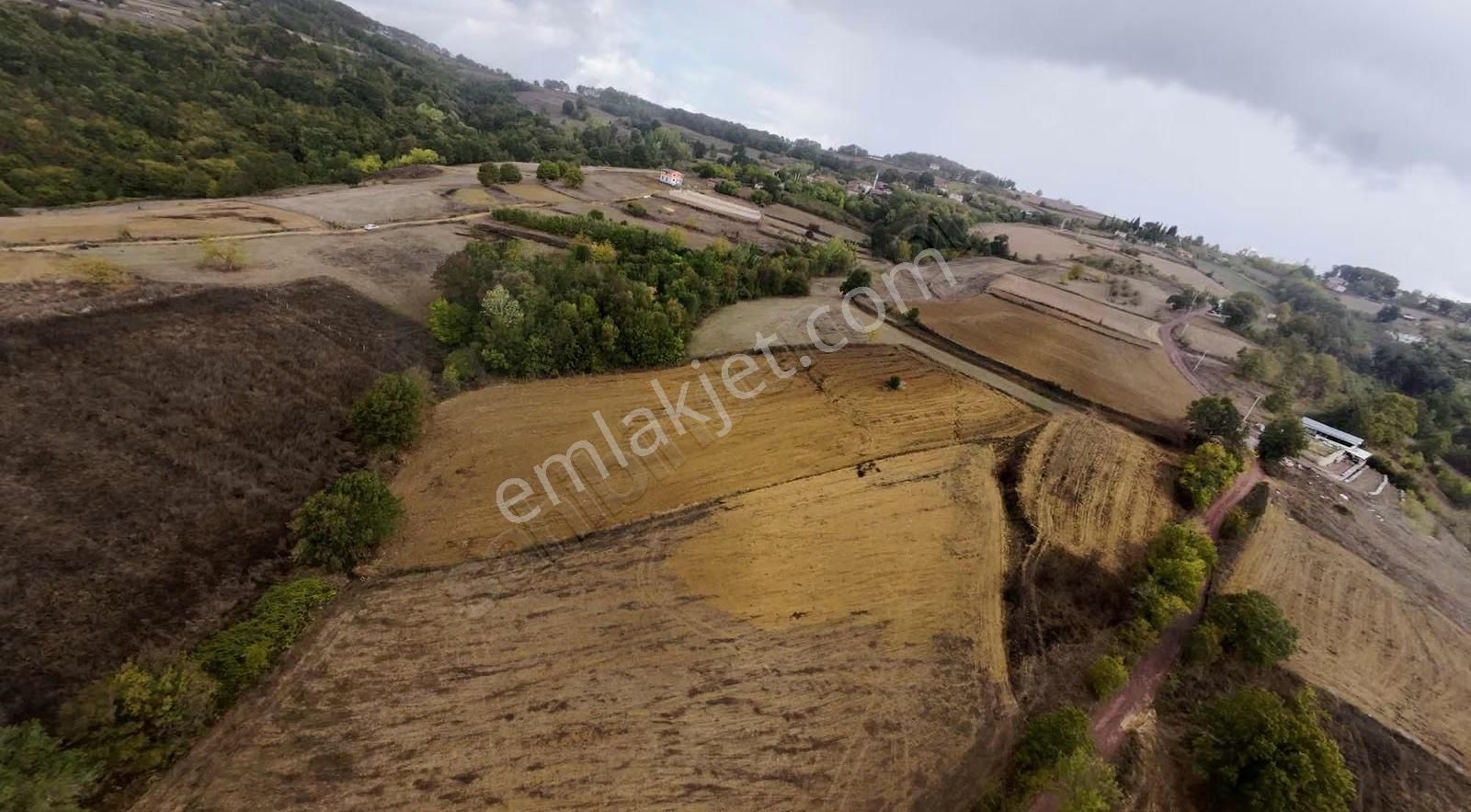 İzmit Ambarcıda Satılık 3.476 M2 Tarla %5 İmarlı Yola 1 Parsel - Görsel 2