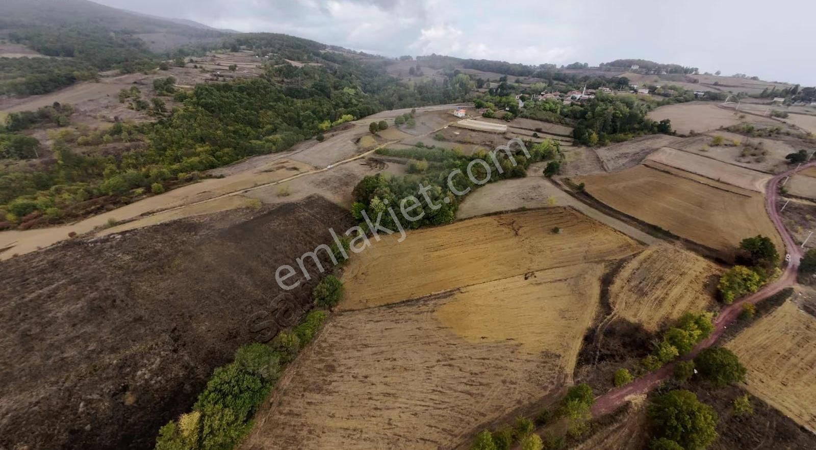 İzmit Ambarcıda Satılık 3.476 M2 Tarla %5 İmarlı Yola 1 Parsel - Görsel 3