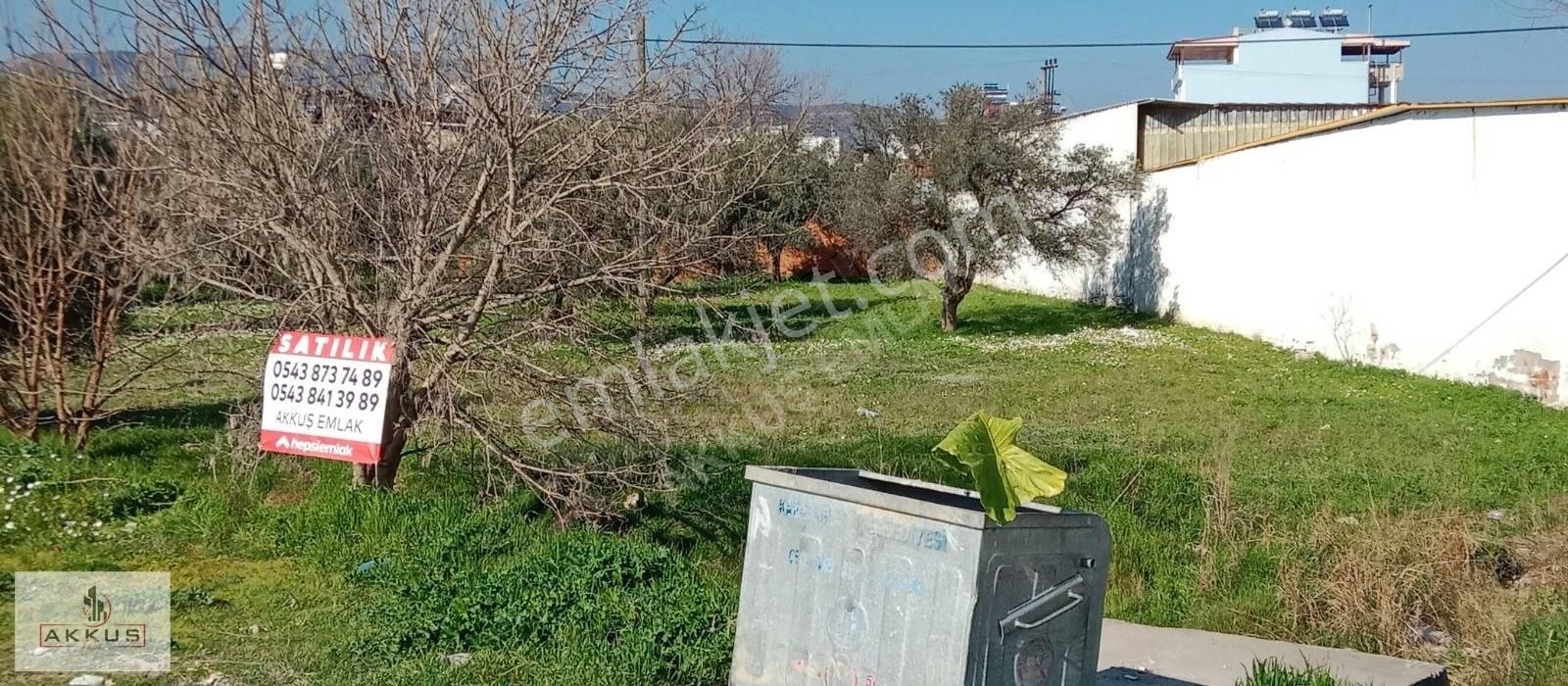 Akkuş Emlak'tan Ortaklar. Anayol Üzeri - Görsel 4