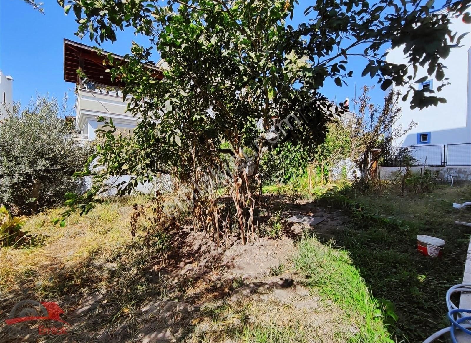 Doğuş Emlak'tan Denize 200 Metre Bahçeli 2+1 Bahçe Katı Daire - Görsel 10