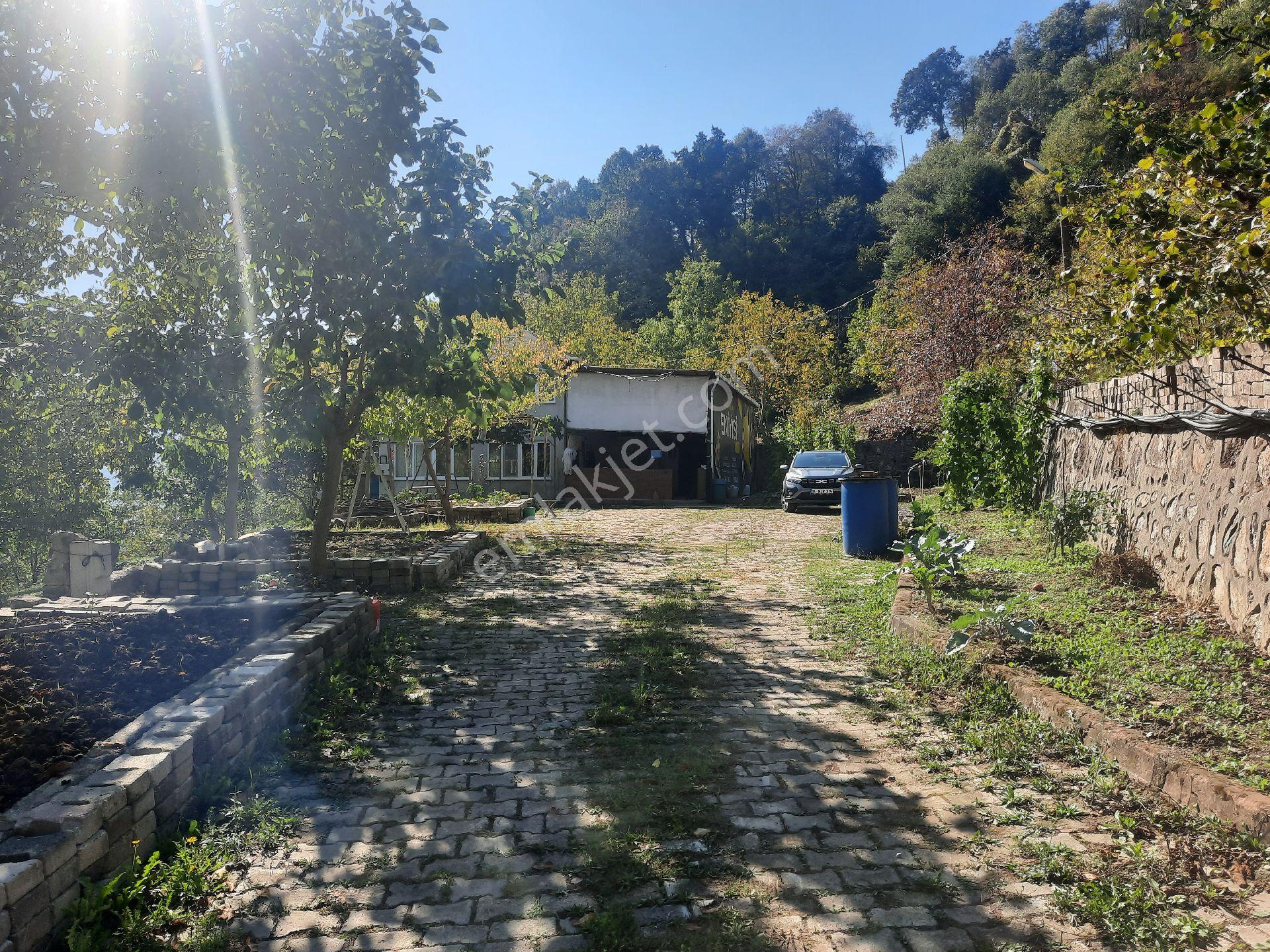 Hamidiye'de Icinde Bag Evi Bulunan Satilik - Görsel 25
