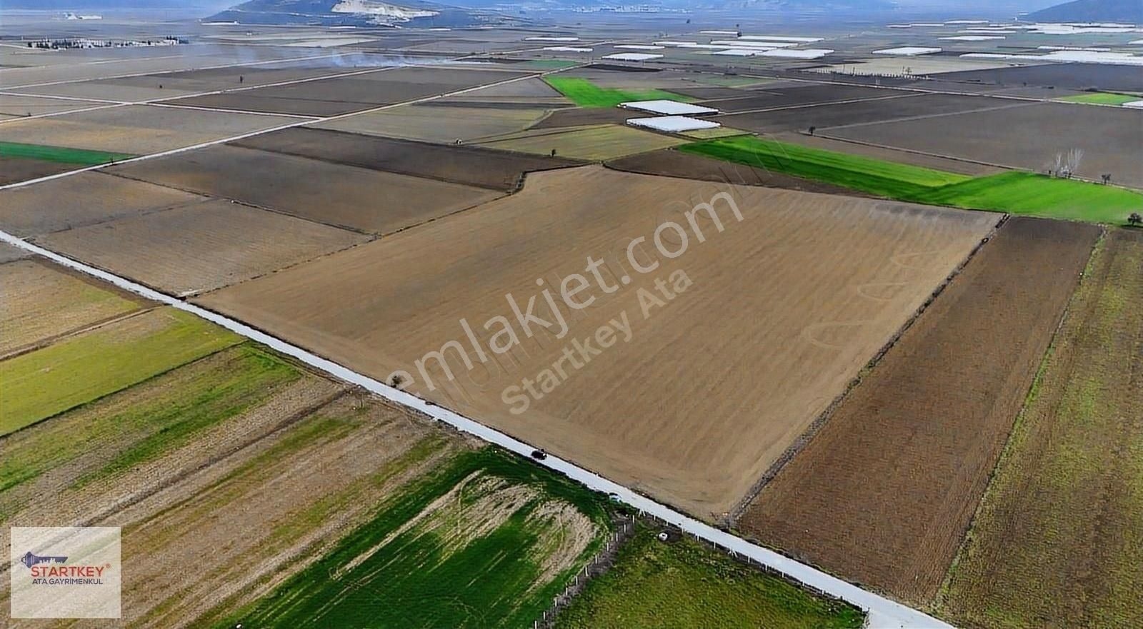 Menderes Çileme Mahallesindeki 70 Dönüm Arazi Satılıktır. - Görsel 4