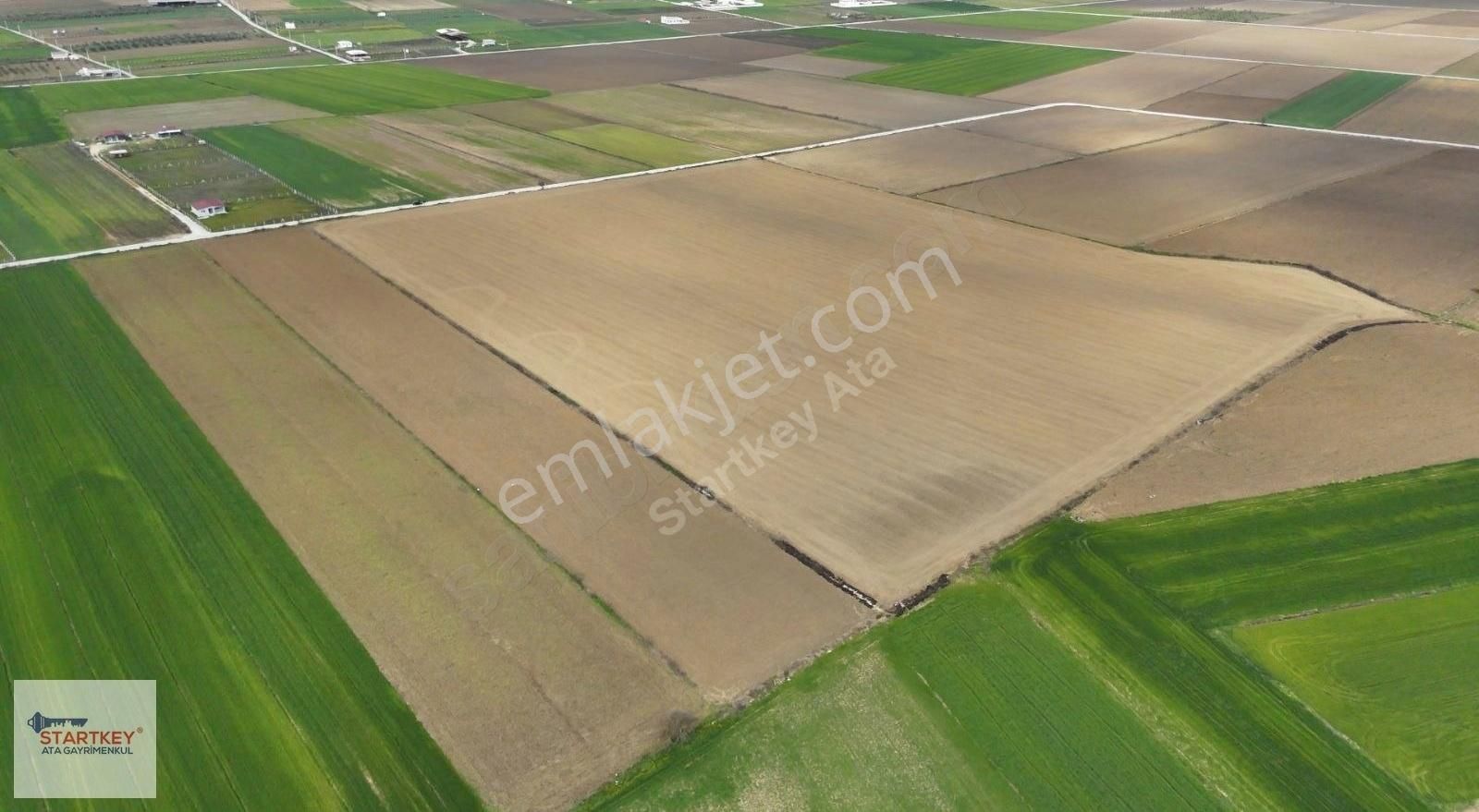 Menderes Çileme Mahallesindeki 70 Dönüm Arazi Satılıktır. - Görsel 5