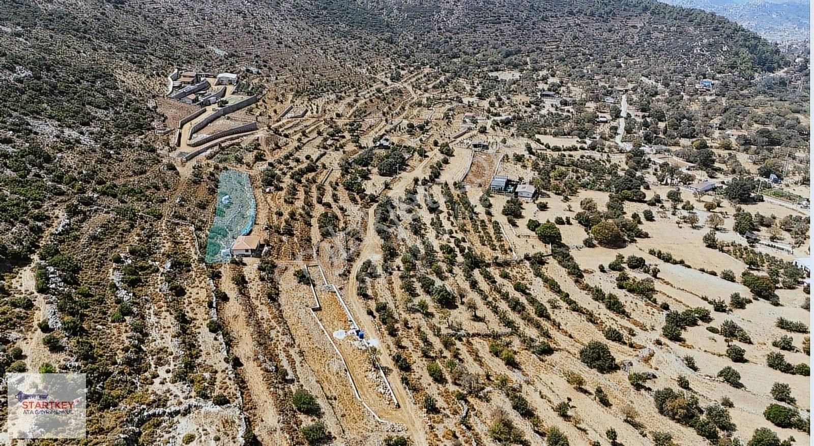 Marmaris Söğüt'te Müstakil Tapulu 890m² Tarla - Görsel 2