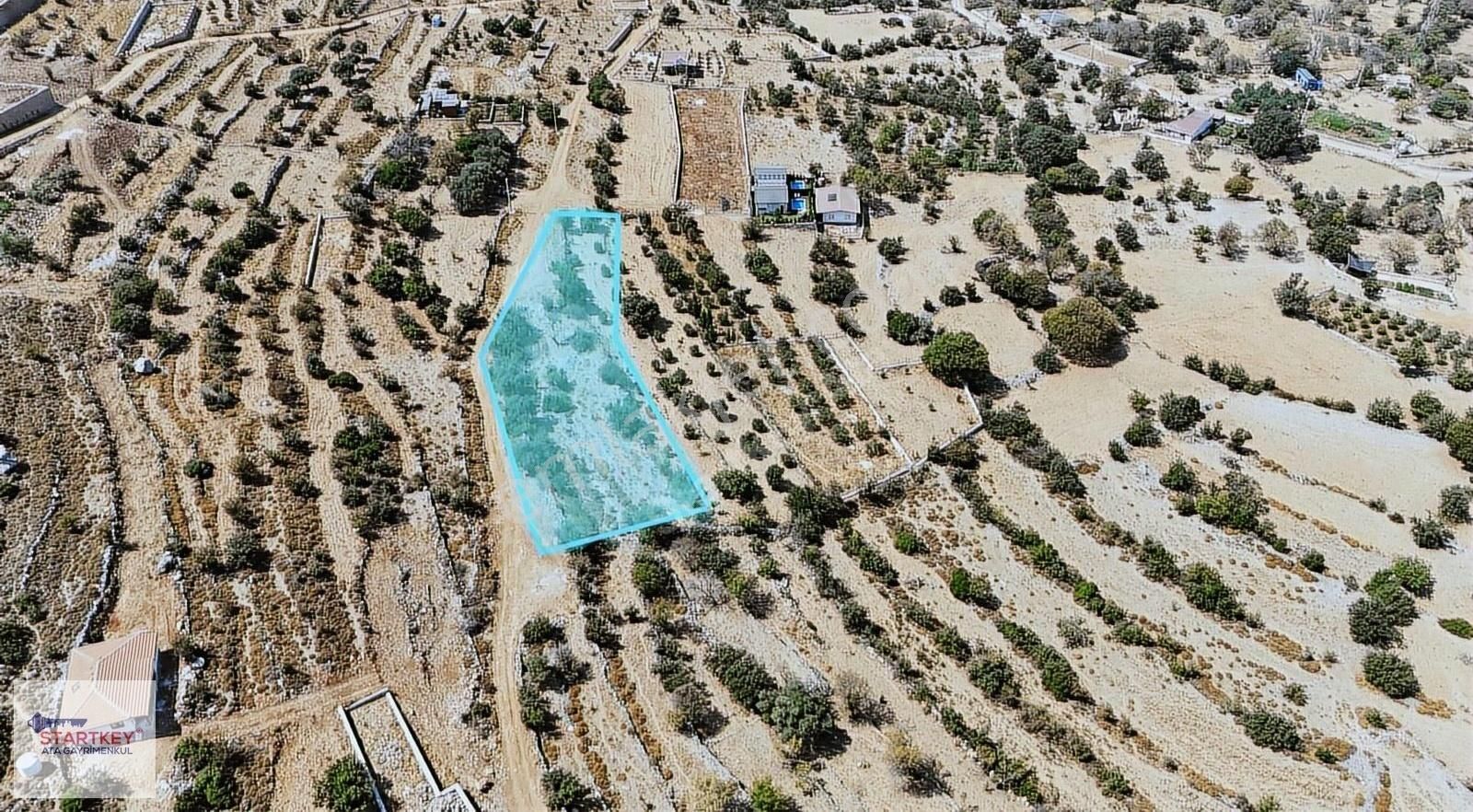 Marmaris Söğüt'te 1727m² Müstakil Tapulu Satılık Tarla